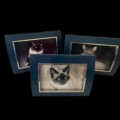 Sale Photo Thumbnail #264