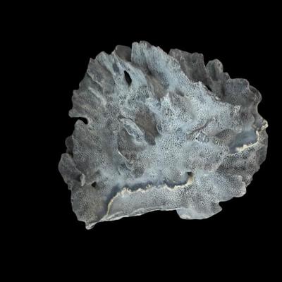 Sale Photo Thumbnail #411