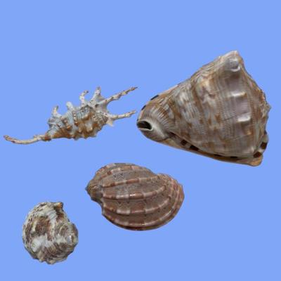 Sale Photo Thumbnail #143