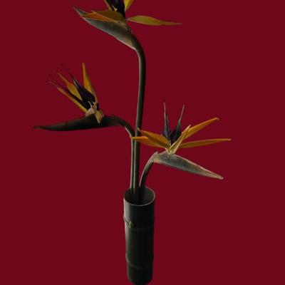 Sale Photo Thumbnail #79