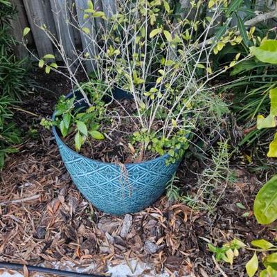 Sale Photo Thumbnail #161