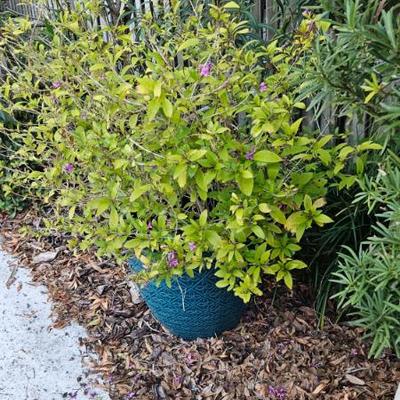 Sale Photo Thumbnail #163