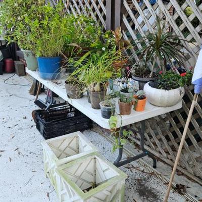 Sale Photo Thumbnail #159