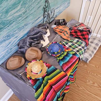 Sale Photo Thumbnail #50: Dog Outfits