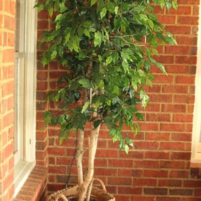 Sale Photo Thumbnail #122