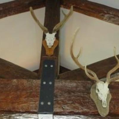 Sale Photo Thumbnail #42