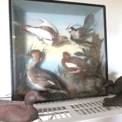 Sale Photo Thumbnail #47