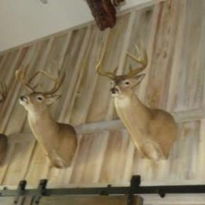 Sale Photo Thumbnail #39