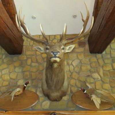 Sale Photo Thumbnail #4