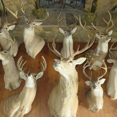 Sale Photo Thumbnail #43