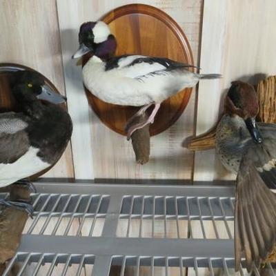 Sale Photo Thumbnail #59