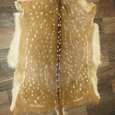 Sale Photo Thumbnail #504