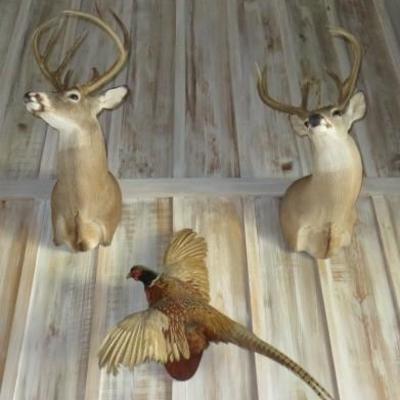 Sale Photo Thumbnail #18