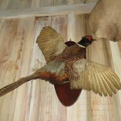 Sale Photo Thumbnail #21