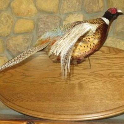 Sale Photo Thumbnail #5