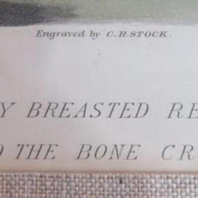 Sale Photo Thumbnail #144