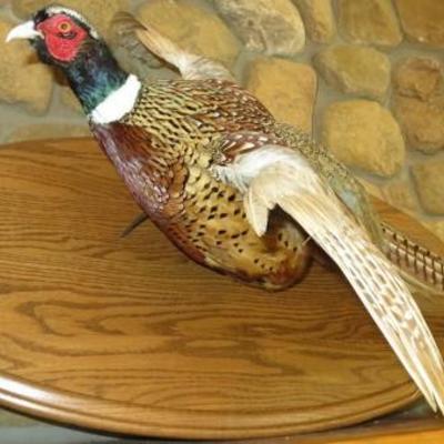 Sale Photo Thumbnail #6