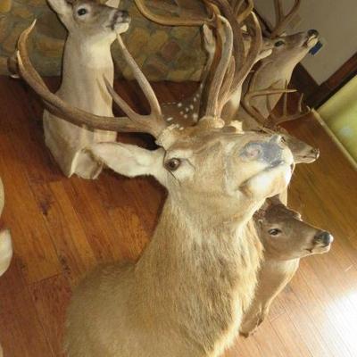 Sale Photo Thumbnail #45