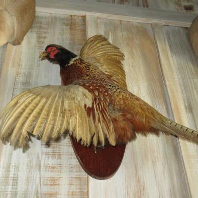 Sale Photo Thumbnail #22