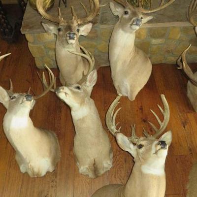 Sale Photo Thumbnail #44