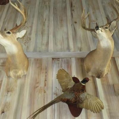 Sale Photo Thumbnail #20