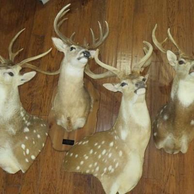 Sale Photo Thumbnail #46