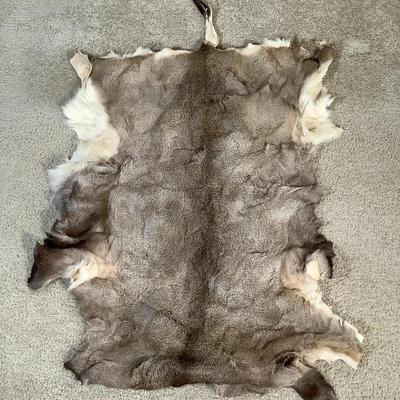 Large Deer Hide #2 – Very Good Condition