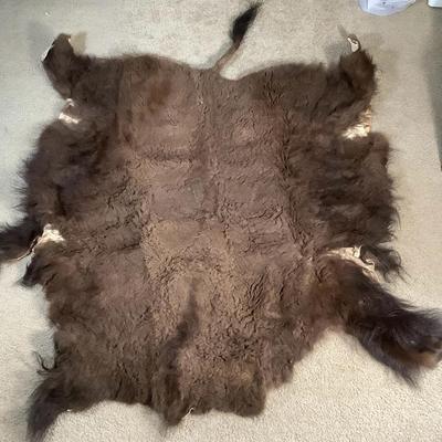 Buffalo Hide #2 - Large – Very Good Condition
