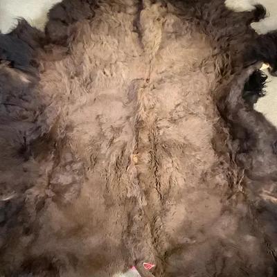 Buffalo Hide #1 - Extra Large – Excellent Condition 