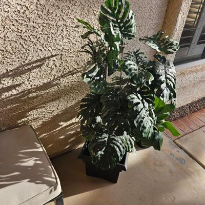 Sale Photo Thumbnail #22