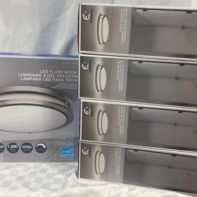 Energetic Lighting LED Flush Mount 