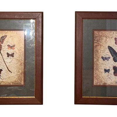 Pair of Butterfly Prints Framed Artwork