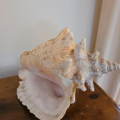 Sale Photo Thumbnail #57