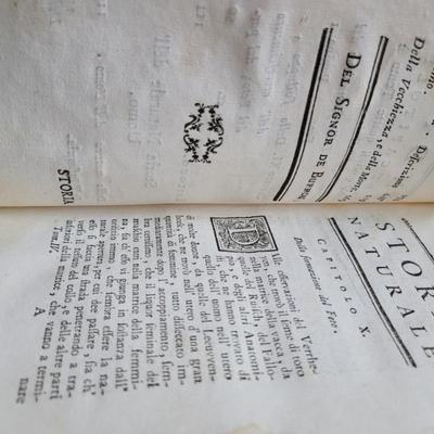 Sale Photo Thumbnail #178