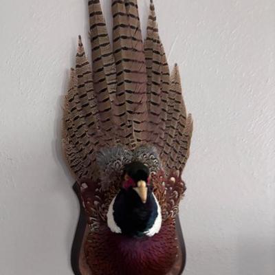 Sale Photo Thumbnail #9