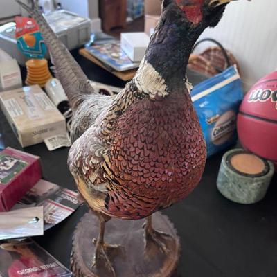 Sale Photo Thumbnail #33