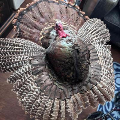 Sale Photo Thumbnail #10