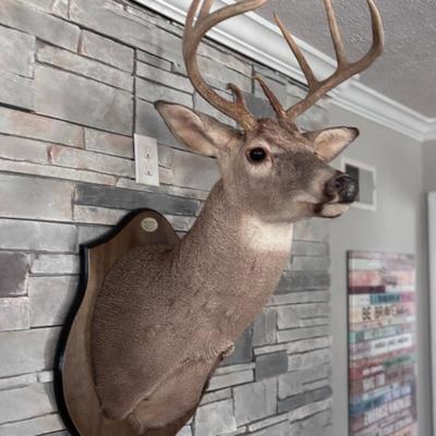 Sale Photo Thumbnail #8