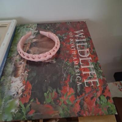 Sale Photo Thumbnail #70