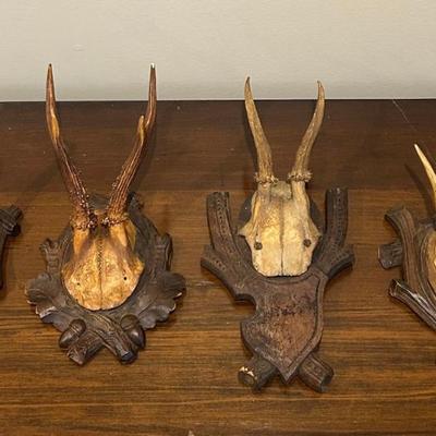 Sale Photo Thumbnail #281