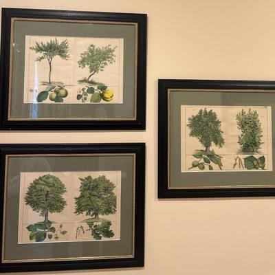 Sale Photo Thumbnail #222