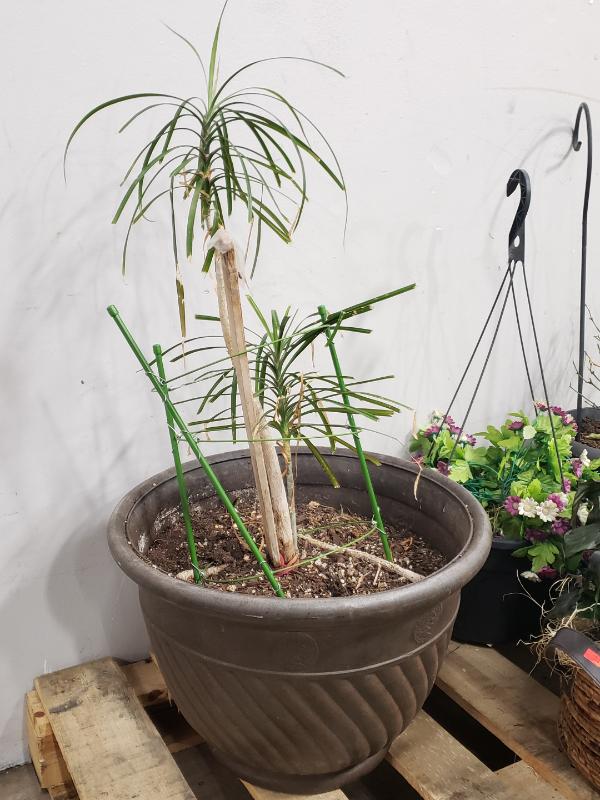 Sale Photo Thumbnail #326