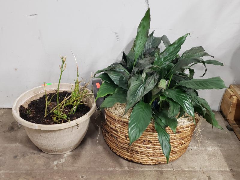 Sale Photo Thumbnail #327