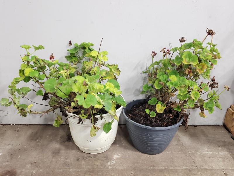 Sale Photo Thumbnail #328