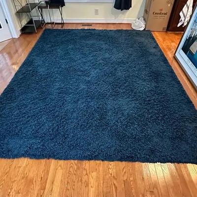 Blue Shag 8 X 10’ Area Rug