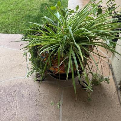 Sale Photo Thumbnail #55