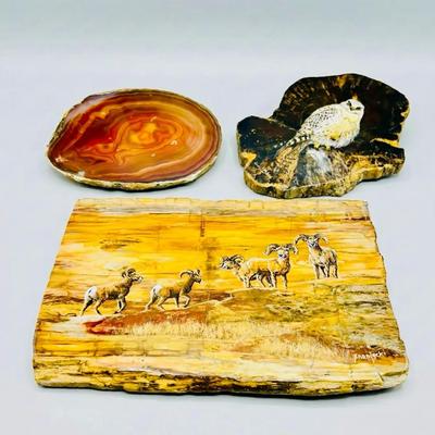 Petrified Wood Paintings + More! 