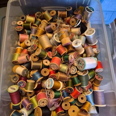 Sale Photo Thumbnail #432