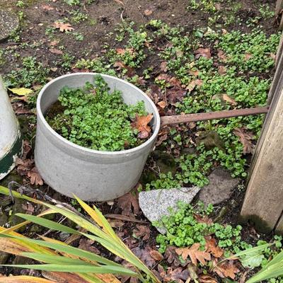 Sale Photo Thumbnail #196