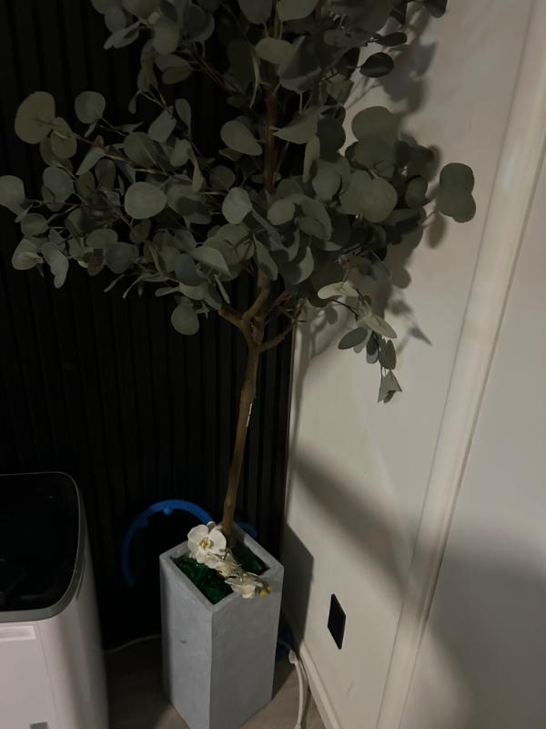 Sale Photo Thumbnail #34